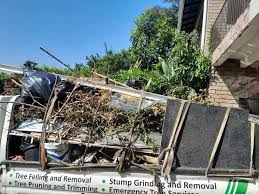 Best Commercial Junk Removal  in Trezevant, TN