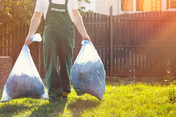 Best Shed Removal  in Trezevant, TN